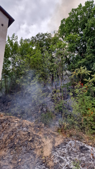 L’Aquila - Domato da Vigili e Protezione civile un incendio a Monte San Giuliano